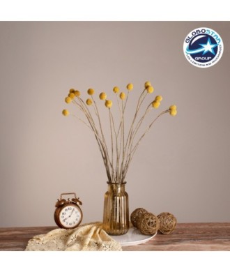 GloboStar® GRASPEDIA 36533 Αποξηραμένο Φυτό Κρασπέδια Φ3cm - Μπουκέτο Διακοσμητικών Κλαδιών Μπεζ - Κίτρινο Υ70cm - Σετ 20 τμχ